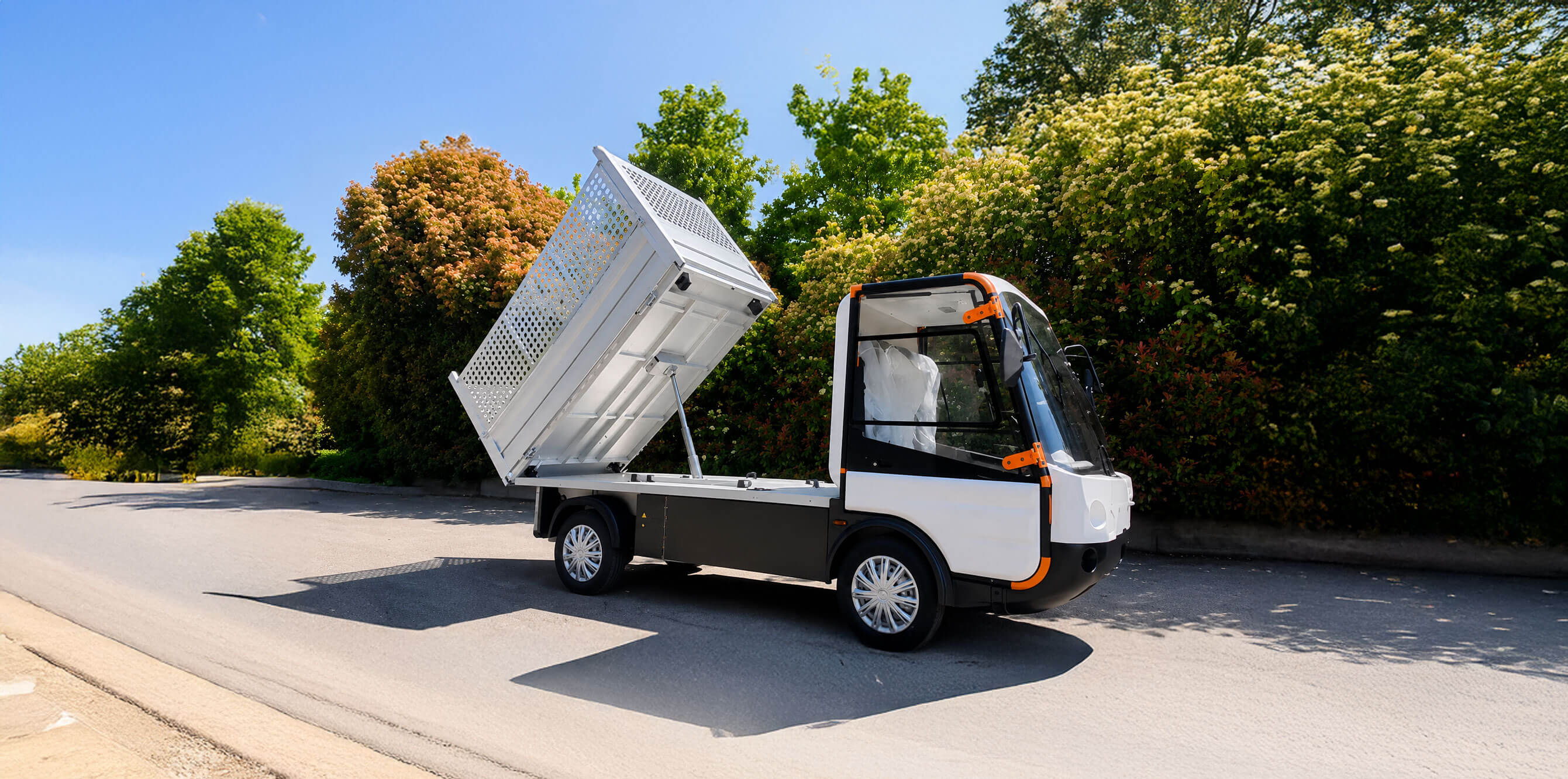 Camion electric cu omologare de tip N1 - până la 3,5 tone